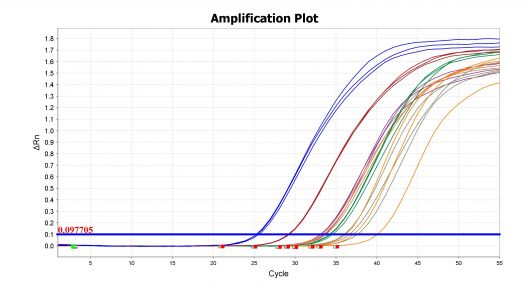 Amplification_Plot.jpg